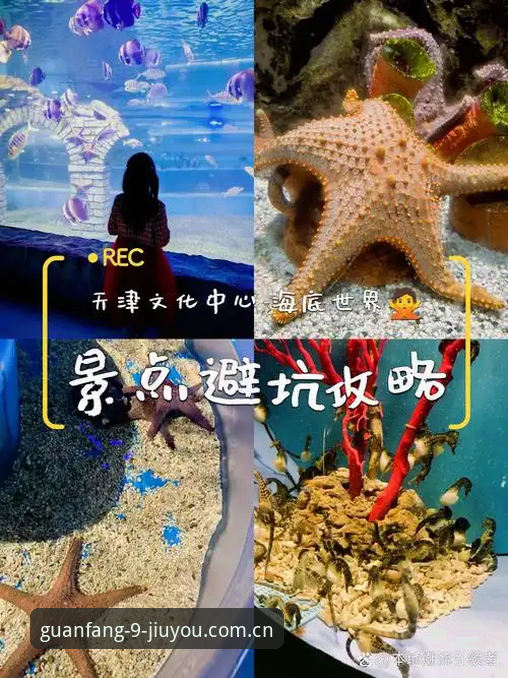 九游娱乐平台深度评测：避坑指南与替代方案全面体验报告